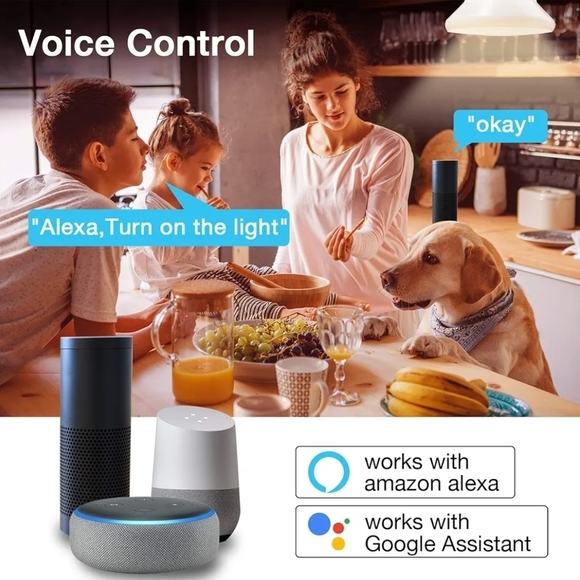 Colorful LED Party Bulbs - Picture 7 of 9